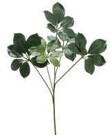 Der künstliche Zweig Schefflera 50 cm FR hat einen einzelnen Stiel mit mehreren Bündeln breiter, dunkelgrüner Blätter und einigen hellgrünen Blättern vor einem weißen Hintergrund.