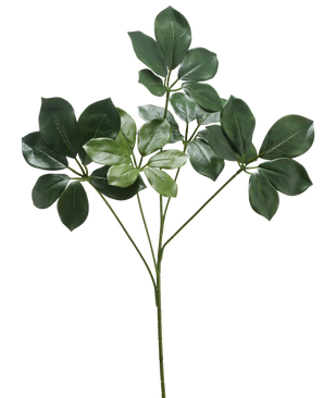 Der künstliche Zweig Schefflera 50 cm FR hat einen einzelnen Stiel mit mehreren Bündeln breiter, dunkelgrüner Blätter und einigen hellgrünen Blättern vor einem weißen Hintergrund.