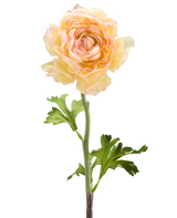 Die künstliche Ranunkelblume 51 cm in Lachsrosa besteht aus einer einzelnen künstlichen Ranunkelblume in sanften Lachsrosatönen mit geschichteten Blütenblättern und grünen Blättern an einem langen Stiel vor einem weißen Hintergrund.