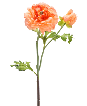 Ein einzelner Stiel der Kunstblume Ranunculus 51 cm hellrosa mit einer großen hellrosa Blüte in voller Blüte, einer kleineren Knospe und grünen Blättern vor einem weißen Hintergrund.