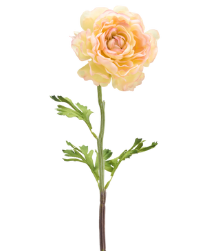 Eine künstliche Ranunkelblume, 51 cm, hellweiß: eine einzelne blasse künstliche Ranunkelblume mit hellweißen Blütenblättern, grünen Blättern und einem langen Stiel vor einem weißen Hintergrund.