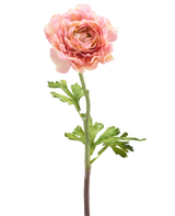 Die künstliche Ranunkelblume 51 cm rosa besteht aus einer einzelnen rosafarbenen Ranunkel mit geschichteten Blütenblättern und grünen Blättern an einem langen Stiel, isoliert vor einem weißen Hintergrund.
