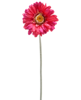 Eine einzelne künstliche Gerbera-Blume 53 cm burgunderrot mit einem langen grünen Stiel, isoliert auf weißem Hintergrund.