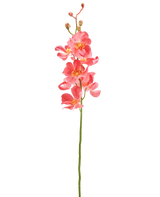 Die künstliche Blumenorchidee 55 cm rosa hat einen einzelnen Stiel mit leuchtend rosa Orchideenblüten mit mehreren offenen Blüten und Knospen vor einem schlichten weißen Hintergrund.