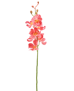 Die künstliche Blumenorchidee 55 cm rosa hat einen einzelnen Stiel mit leuchtend rosa Orchideenblüten mit mehreren offenen Blüten und Knospen vor einem schlichten weißen Hintergrund.