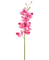 Vor einem schlichten weißen Hintergrund steht eine künstliche Blumenorchidee (55 cm) in Mauve mit mehreren leuchtend malvenrosa Blüten und Knospen.