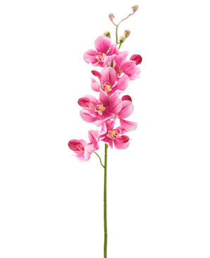 Vor einem schlichten weißen Hintergrund steht eine künstliche Blumenorchidee (55 cm) in Mauve mit mehreren leuchtend malvenrosa Blüten und Knospen.