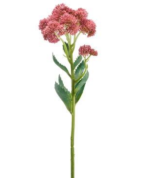 Ein einzelner Stiel der Kunstblume Sedum 57 cm lila zeigt Büschel kleiner, sternförmiger lila Blüten und grüner Blätter, die vor einem weißen Hintergrund dargestellt sind.