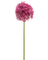 Die Kunstblume Mini Allium 60 cm lila hat einen langen grünen Stiel, der von einer großen, kugelförmigen Gruppe kleiner lila sternförmiger Blüten gekrönt wird, die vor einem weißen Hintergrund abgebildet sind.