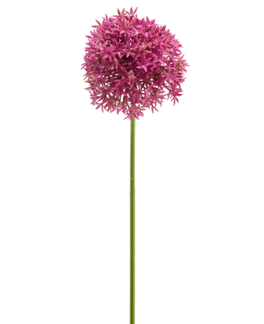 Die Kunstblume Mini Allium 60 cm lila hat einen langen grünen Stiel, der von einer großen, kugelförmigen Gruppe kleiner lila sternförmiger Blüten gekrönt wird, die vor einem weißen Hintergrund abgebildet sind.