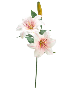 Die künstliche Blumenlilie 66 cm weiß/rosa hat einen einzelnen Stiel mit zwei offenen weißen und rosa Lilien, einer geschlossenen gelben Knospe und grünen Blättern vor einem schlichten weißen Hintergrund.