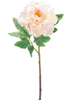 Die künstliche Pfingstrose 61 cm creme ist eine einzelne künstliche hellrosa und cremefarbene Pfingstrose mit grünen Blättern und einem langen Stiel, abgebildet vor einem weißen Hintergrund.
