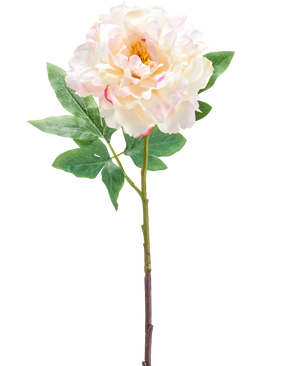 Die künstliche Pfingstrose 61 cm creme ist eine einzelne künstliche hellrosa und cremefarbene Pfingstrose mit grünen Blättern und einem langen Stiel, abgebildet vor einem weißen Hintergrund.