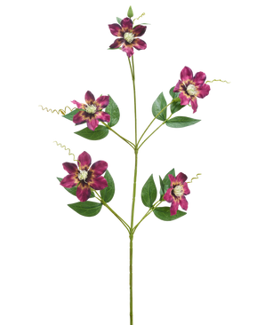 Die künstliche Blume Celematis 78 cm lila hat einen einzelnen grünen Stiel mit fünf blühenden lila Blüten, jede mit spitzen Blütenblättern und einem gelben Herzen, umgeben von grünen Blättern und gekräuselten Ranken, isoliert auf weißem Hintergrund.