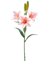 Ein einzelner Stiel der künstlichen Blumenlilie 78 cm weiß/rosa hat drei blühende rosa-weiße Lilien, zwei geschlossene Knospen und grüne Blätter vor einem schlichten weißen Hintergrund.