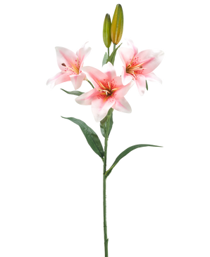 Ein einzelner Stiel der künstlichen Blumenlilie 78 cm weiß/rosa hat drei blühende rosa-weiße Lilien, zwei geschlossene Knospen und grüne Blätter vor einem schlichten weißen Hintergrund.
