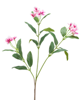 Vor einem schlichten weißen Hintergrund ist eine künstliche Catharanthus-Blume (68 cm) in Fuchsia/Creme mit langen, schlanken grünen Blättern und Büscheln fünfblättriger Blüten zu sehen.