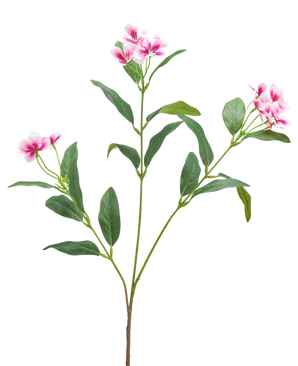 Vor einem schlichten weißen Hintergrund ist eine künstliche Catharanthus-Blume (68 cm) in Fuchsia/Creme mit langen, schlanken grünen Blättern und Büscheln fünfblättriger Blüten zu sehen.
