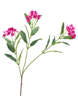 Die künstliche Blume Catharanthus 68 cm lila hat Büschel leuchtend lila Blüten und schlanke grüne Blätter auf weißem Hintergrund.