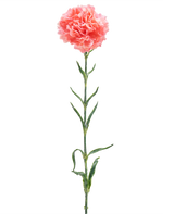 Die künstliche Blumennelke 68 cm lachsrosa ist eine einzelne künstliche Nelke mit Rüschen aus lachsrosa Blütenblättern, einem langen grünen Stiel und mehreren grünen Blättern, isoliert auf weißem Hintergrund.