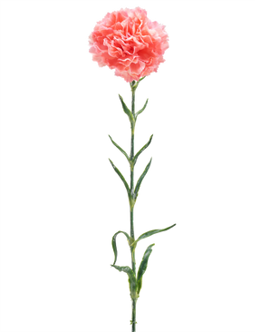 Die künstliche Blumennelke 68 cm lachsrosa ist eine einzelne künstliche Nelke mit Rüschen aus lachsrosa Blütenblättern, einem langen grünen Stiel und mehreren grünen Blättern, isoliert auf weißem Hintergrund.