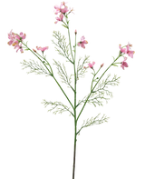 Die künstliche Blume Wildes Delphinium 71 cm hellrosa hat einen einzelnen grünen Stiel mit gefiederten Blättern und mehreren Büscheln zarter hellrosa Blüten vor einem schlichten weißen Hintergrund.
