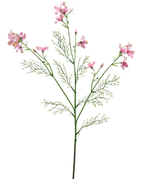 Die künstliche Blume Wildes Delphinium 71 cm hellrosa hat einen einzelnen grünen Stiel mit gefiederten Blättern und mehreren Büscheln zarter hellrosa Blüten vor einem schlichten weißen Hintergrund.