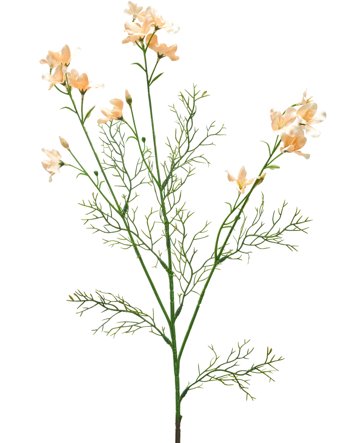 Die Kunstblume Wildes Delphinium 71 cm hellcreme hat einen zarten Kunststiel mit hellcremefarbenen Blüten und feinen, federhellgrünen Blättern vor einem schlichten weißen Hintergrund.