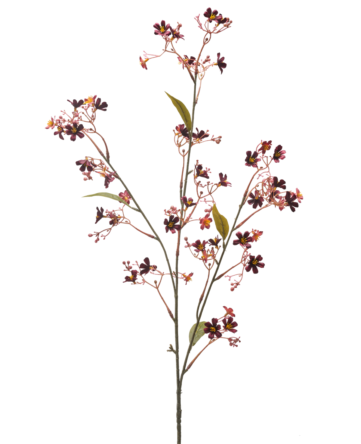 Die Kunstblume Seidelbast 108 cm bordeaux hat einen einzelnen Stiel mit mehreren dünnen Zweigen, kleine dunkelviolette und rosa Blüten mit einem gelben Herzen und ein paar grünen Blättern vor einem schlichten weißen Hintergrund.