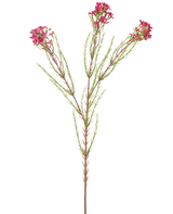 Die Kunstblumenwachs 78 cm altrosa hat einen einzelnen grünen Stiel mit dünnen, nadelartigen Blättern und Büscheln kleiner, altrosa Blüten an den Enden, isoliert auf weißem Hintergrund.