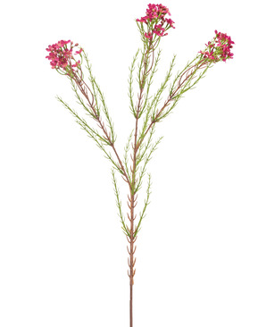 Die Kunstblumenwachs 78 cm altrosa hat einen einzelnen grünen Stiel mit dünnen, nadelartigen Blättern und Büscheln kleiner, altrosa Blüten an den Enden, isoliert auf weißem Hintergrund.
