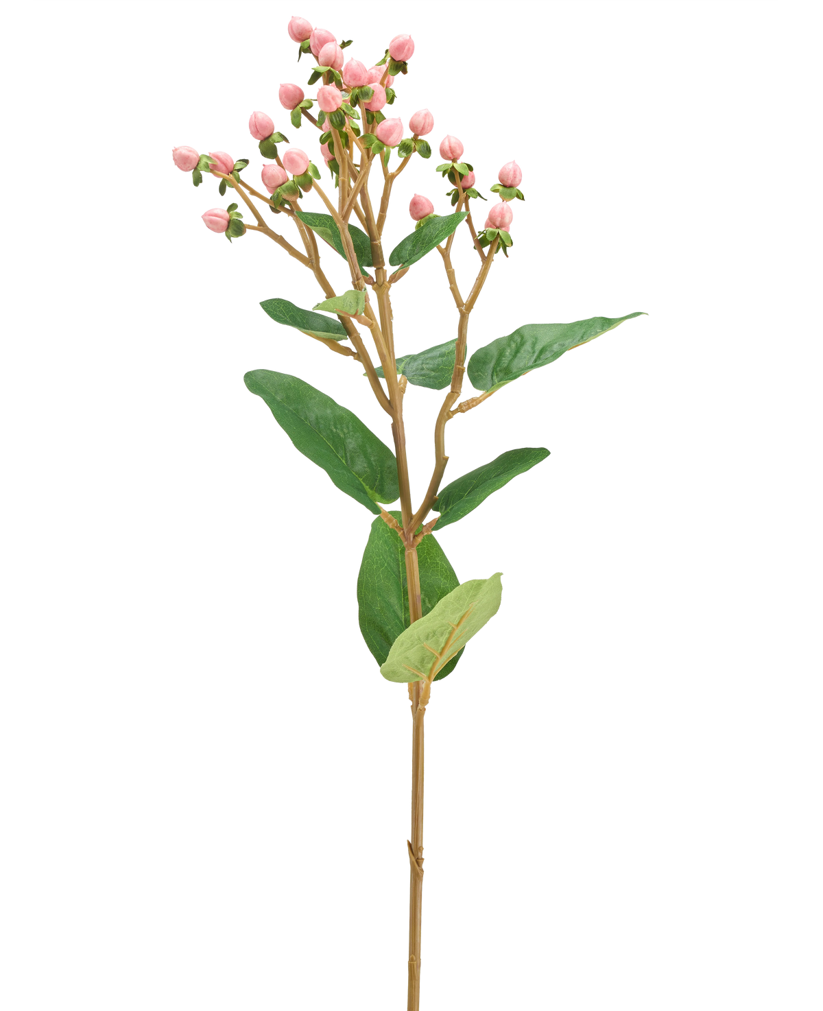 Die künstliche Blume Hypericum 65 cm rosa hat Büschel kleiner rosa Blütenknospen und grüner Blätter auf einem langen, schlanken braunen Stiel vor einem schlichten weißen Hintergrund.