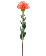 Eine einzelne künstliche Blume Mini Protea 61 cm orange mit einer zarten orangefarbenen Blüte und grünen Blättern vor einem schlichten weißen Hintergrund.