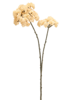 Vor einem schlichten weißen Hintergrund sind zwei hohe Kunstblumen-Sedums von 70 cm mit cremefarbenen Stielen mit grünbraunen Stielen und Büscheln cremefarbener, stacheliger Bommelblüten zu sehen.