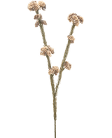Die künstliche Blume Ozothamnus diosmifolius 57 cm creme/braun hat einen einzelnen getrockneten Stiel mit zwei Zweigen, jeder mit Büscheln kleiner, runder, beige und brauner, stacheliger Blüten vor einem schlichten weißen Hintergrund.