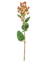 Eine einzelne künstliche Hypericum-Blume von 65 cm mit Büscheln kleiner orange/roter Beeren und grünen Blättern vor einem hellen Hintergrund.