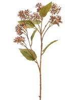 Die Kunstblume Sedum 67 cm braun hat einen einzelnen braun-grünen Kunstpflanzenstiel mit Büscheln kleiner brauner Knospen und mehreren grünen Blättern, isoliert auf weißem Hintergrund.