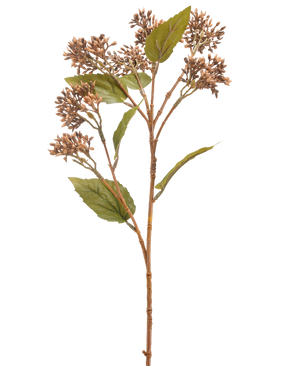 Die Kunstblume Sedum 67 cm braun hat einen einzelnen braun-grünen Kunstpflanzenstiel mit Büscheln kleiner brauner Knospen und mehreren grünen Blättern, isoliert auf weißem Hintergrund.
