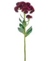 Eine einzelne künstliche Blume Sedum 57 cm lila hat einen langen grünen Stiel mit Büscheln kleiner dunkelvioletter Blüten und grüner Blätter, isoliert auf weißem Hintergrund.