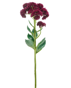 Eine einzelne künstliche Blume Sedum 57 cm lila hat einen langen grünen Stiel mit Büscheln kleiner dunkelvioletter Blüten und grüner Blätter, isoliert auf weißem Hintergrund.