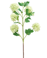 Der künstliche Blumen-Schneeball 77 cm grün hat einen einzelnen grünen Stiel mit mehreren Zweigen, die jeweils mit Büscheln runder, hellgrüner Blüten und mehreren grünen Blättern verziert sind, alle isoliert auf einem weißen Hintergrund.