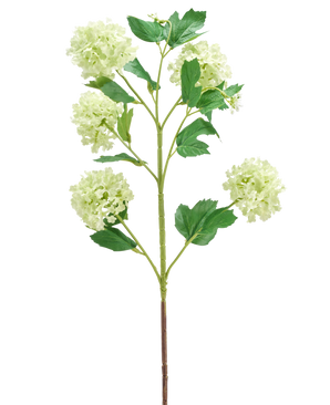 Der künstliche Blumen-Schneeball 77 cm grün hat einen einzelnen grünen Stiel mit mehreren Zweigen, die jeweils mit Büscheln runder, hellgrüner Blüten und mehreren grünen Blättern verziert sind, alle isoliert auf einem weißen Hintergrund.