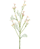 Die künstliche Wildblume 68 cm hellrosa hat einen einzelnen grünen Stiel mit gefiederten Blättern und mehreren Zweigen, die mit kleinen, hellrosa Blüten verziert sind, vor einem schlichten weißen Hintergrund.