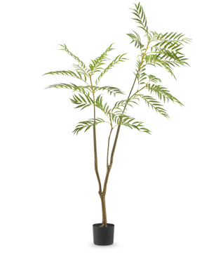 Die Kunstpflanze Mahonia 150 cm ist ein hoher Kunstbaum in einem Topf mit schlanken braunen Stämmen und langen, schmalen grünen Blättern, dargestellt vor einem schlichten weißen Hintergrund.
