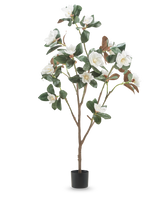 Die künstliche Yulania-Pflanze mit Blüte (150 cm) ist eine hohe künstliche Magnolie mit mehreren Zweigen, üppigen grünen Blättern und weißen Blüten in einem kleinen schwarzen Topf vor einem schlichten weißen Hintergrund.