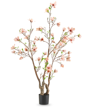 Die Kunstpflanze Magnolie 180 cm ist ein künstlicher Baum im Topf mit mehreren Zweigen, hellrosa Blüten und grünen Blättern vor einem schlichten weißen Hintergrund.