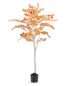 De Kunst Berkenboom "Herfst" 150 cm is een hoge kunstberk met een slanke witte stam en oranjegele herfstbladeren, in een kleine zwarte pot tegen een effen witte achtergrond.