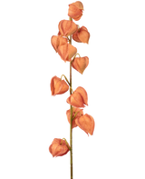 Die künstliche Blumenlaternenpflanze 79 cm orange hat einen einzelnen Stiel mit mehreren orangefarbenen, laternenförmigen Hülsen, die vertikal angeordnet sind und getrockneten Physalis ähneln, auf einem schlichten weißen Hintergrund.