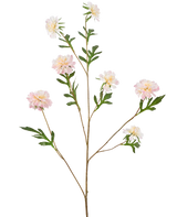 Die Kunstblume Kornblume 112 cm hellrosa hat einen langen, dünnen Stiel mit mehreren Zweigen, jeweils mit hellrosa pfingstrosenähnlichen Blüten und grünen Blättern, vor einem schlichten weißen Hintergrund.
