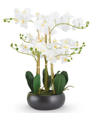 Künstliche Orchidee Real Touch 50 cm weiß im schwarzen Topf: Eine künstliche weiße Real Touch Orchidee mit grünen Blättern in einem runden schwarzen Topf.